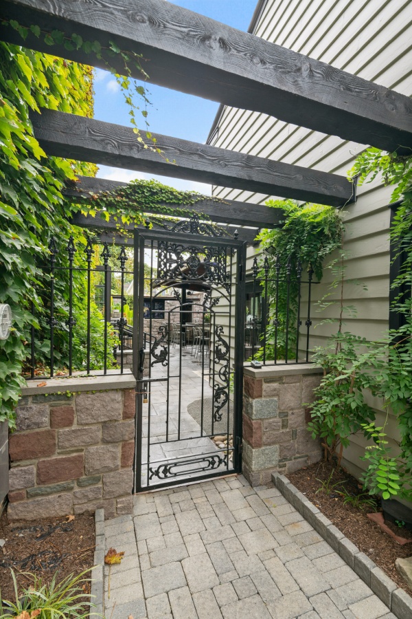 A backyard with a wrought iron gate and ivy.